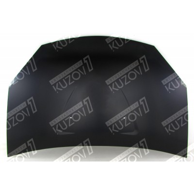 Капот TYG для DACIA SANDERO 2007-2013 - фото