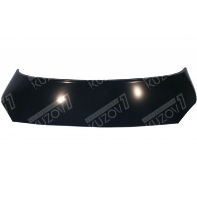 Капот TYG для RENAULT SCENIC 2003-2006 - фото Капот TYG для RENAULT SCENIC 2003-2006 - фото