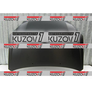 КАПОТ - фото